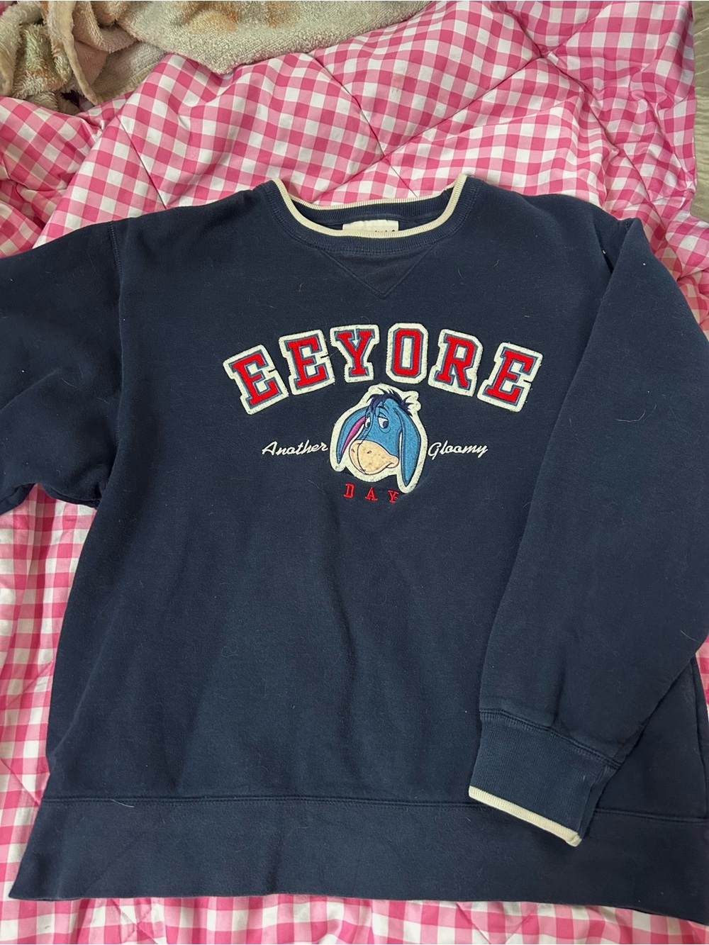 Vintage Eeyore Crew